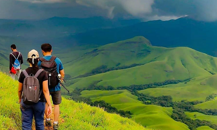 قهوه روبوستا چری هند 6 coffeelaos