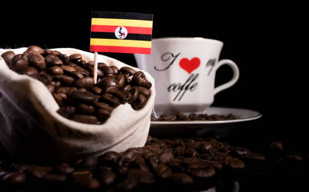 uganda coffee robusta blog